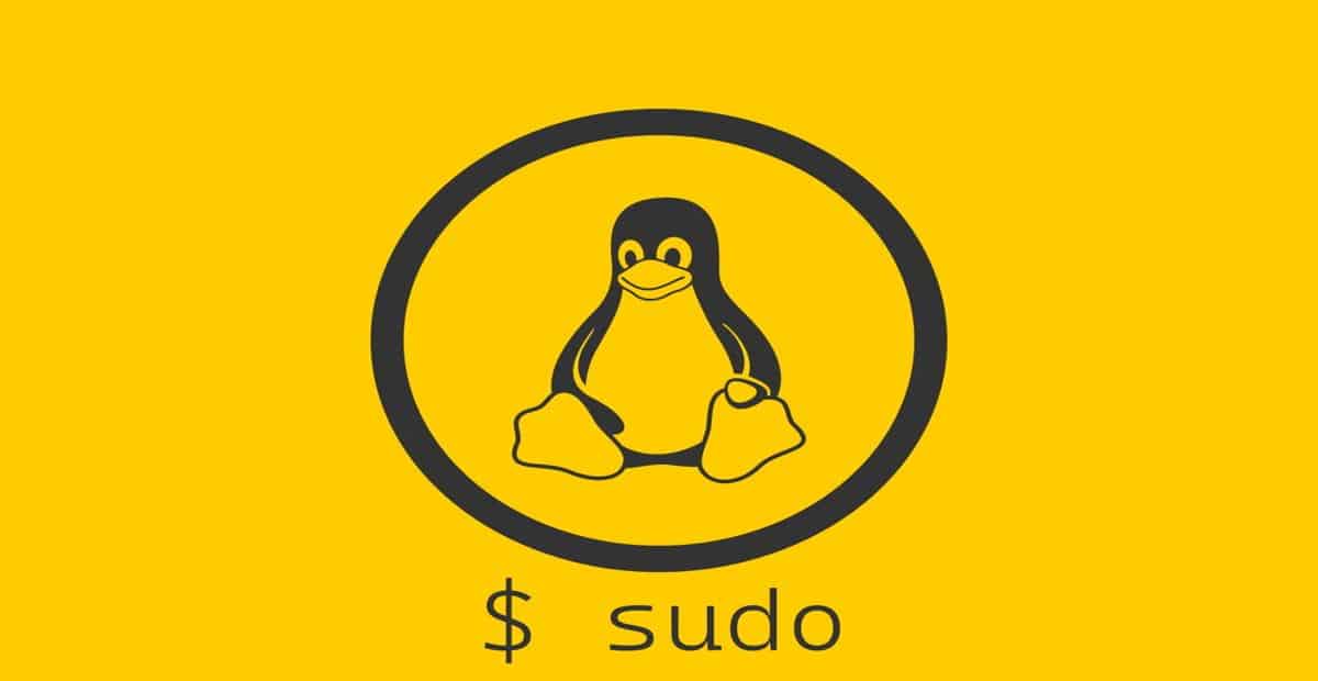 sudo