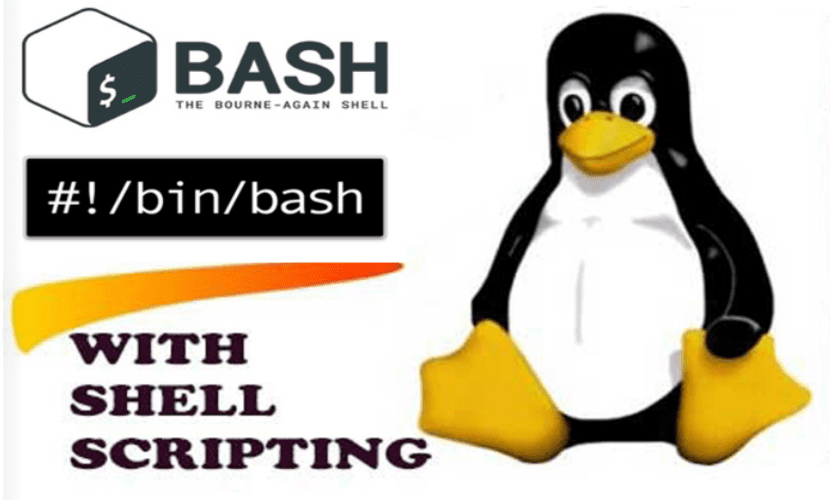 Recursos en línea para aprender Shell Scripting