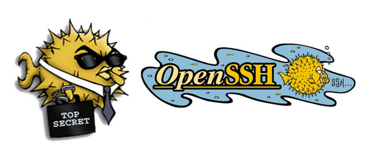 OpenSSH proporciona un amplio conjunto de capacidades de tunelización segura