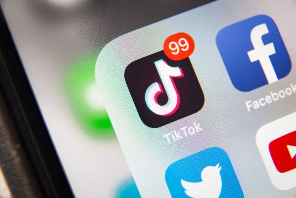 datos recopilados red social tiktok